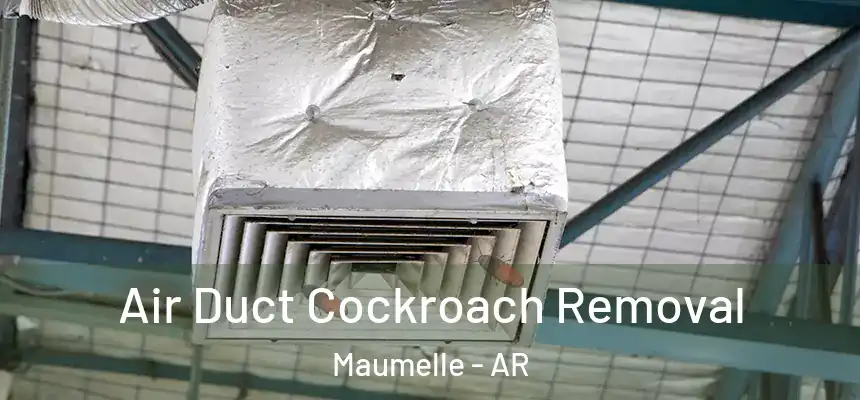  Air Duct Cockroach Removal Maumelle - AR