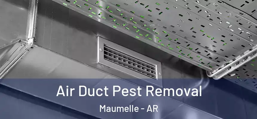  Air Duct Pest Removal Maumelle - AR