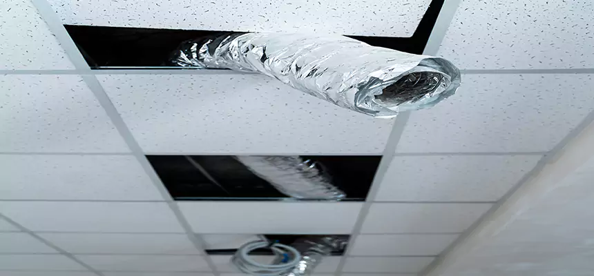 Our Air Duct Pet Hair Removal Services in Maumelle, AR