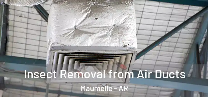  Insect Removal from Air Ducts Maumelle - AR