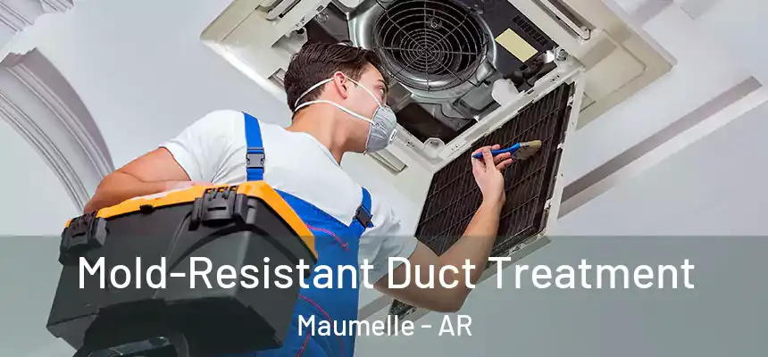  Mold-Resistant Duct Treatment Maumelle - AR