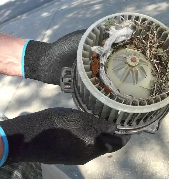 About Air Duct Rat Removal in Maumelle, AR