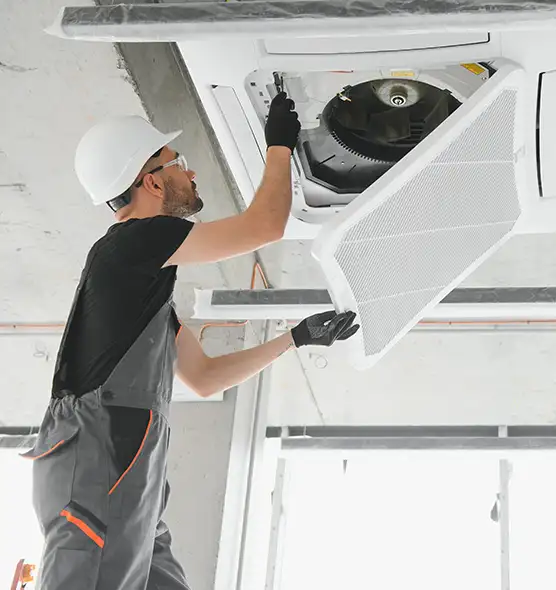 About Air Duct Rodent Removal in Maumelle, AR