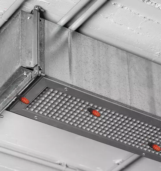 Affordable Insect Removal from Air Ducts in Maumelle, AR